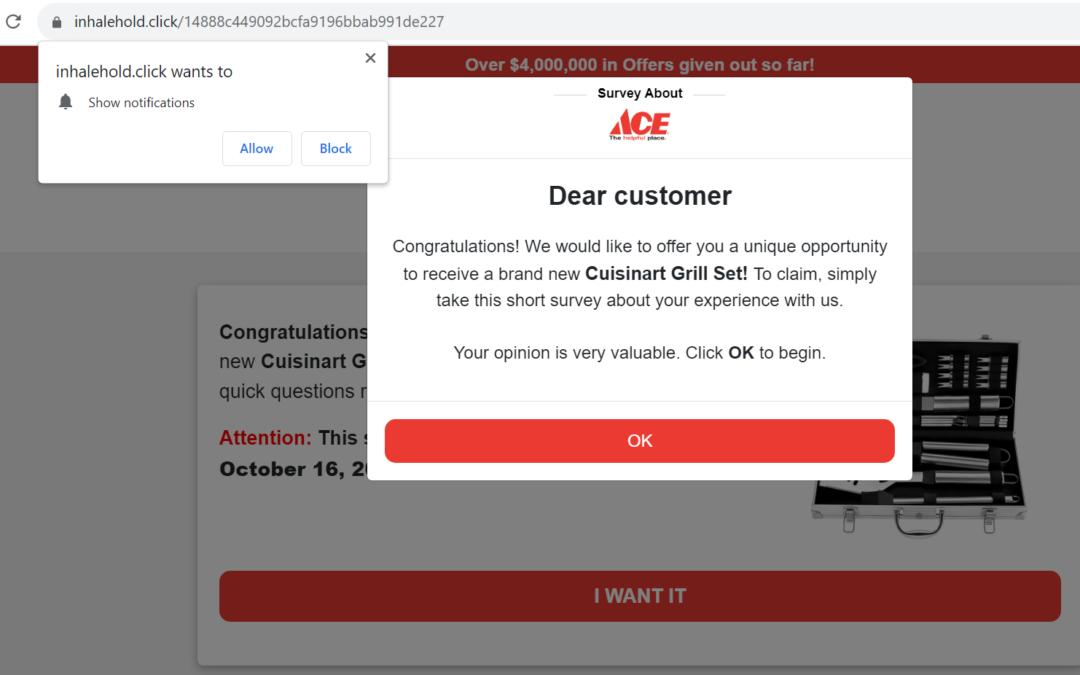 Teardown: ACE Hardware Survey Scam