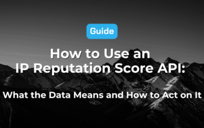 How to Use an IP Reputation Score API: What the Data Means and How to Act on It
