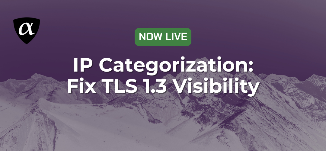 Fix the TLS 1.3 Hostname Visibility Gap with IP Categorization