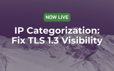 Fix the TLS 1.3 Hostname Visibility Gap with IP Categorization